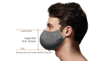 Pacsafe Silver Ion Reusable Face Mask Face Mask