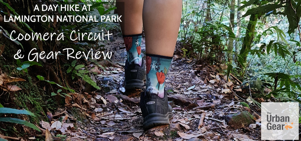 Hiking the Coomera Circuit, Lamington National Park - Free Two Roam